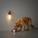 Luz Noturna LED com Sensor de Movimento