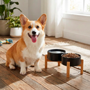 Tigela Pet de Cerâmica com Suporte de Madeira